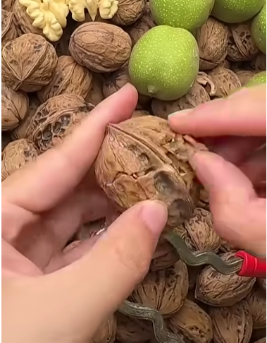 Kashmiri Walnuts (with shells) – 1 KG